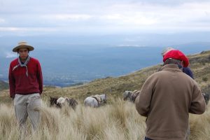 gaucho, argentina, estancia