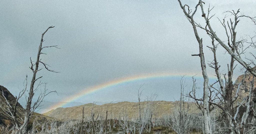 Two hikers in colorful raincoats walk through a forest path in Magallanes, Chile under a rainbow.