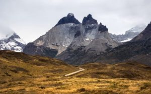 A scenic view of the rugged peaks of Torres del Paine National Park in Chile. The golden grasslands stretch towards a dirt road leading to the dramatic mountains under an overcast sky.